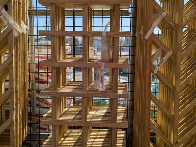 #28 Straightliners Trellis 24"W x 96"H