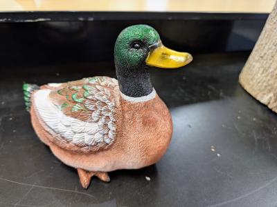 Poly Duck    9" x 7.5"