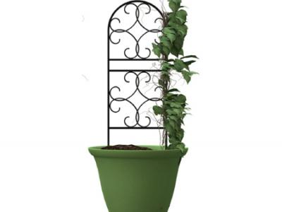 Scroll Pot Trellis Black 36"