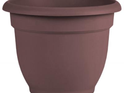 16" Ariana Merlot Pot