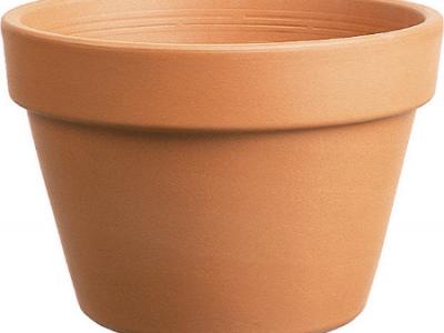 Azalea Clay Plot   6"